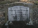 image of grave number 868078